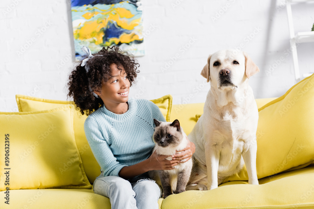 Cheerful girl with headband embracing siamese cat and looking at retriever sitting on yellow sofa, on blurred background