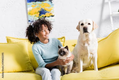 Cheerful girl with headband embracing siamese cat and looking at retriever sitting on yellow sofa, on blurred background © LIGHTFIELD STUDIOS