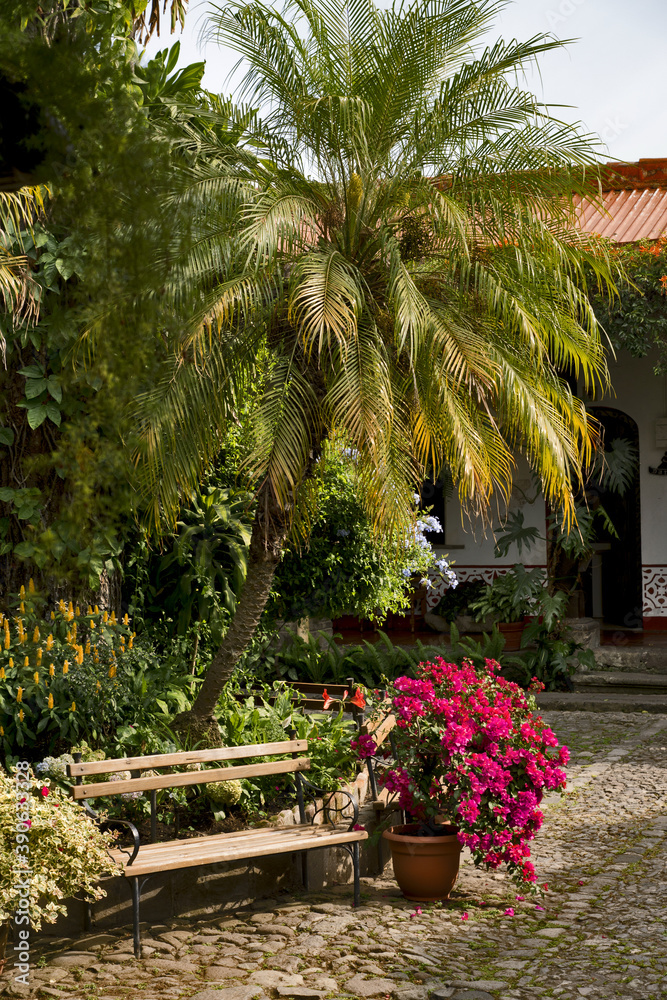 Idyllic courtyard with palm tree, flowers and bench (Antigua, Guatemala, Central America)