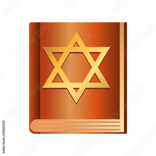 hanukkah, torah book ritual traditional flat icon