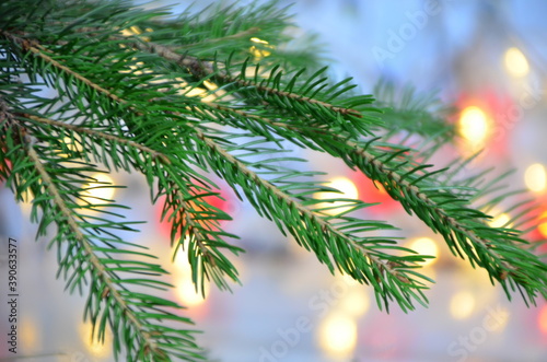 branch of a Christmas tree on a background of Christmas lights new year background, no focus, blur, blurry Closeup of Christmas tree background