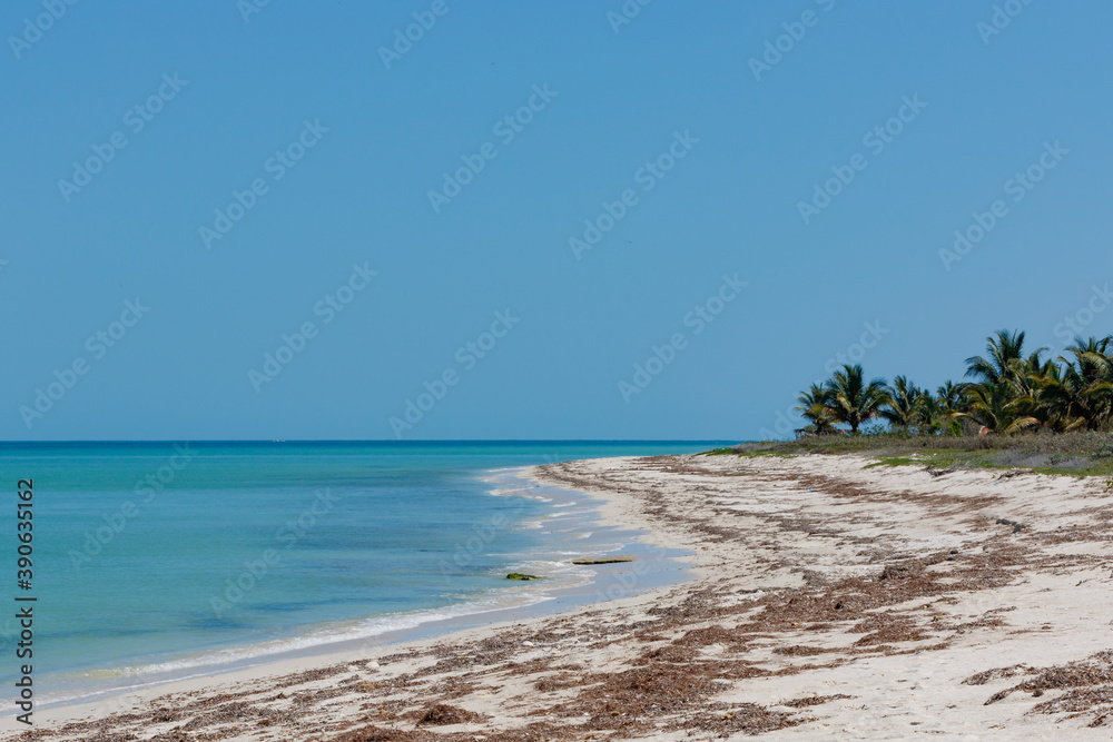 Playa solitaria. Sabancuy. Campeche. 2 Playa solitaria. Sabancuy. Campeche. 2