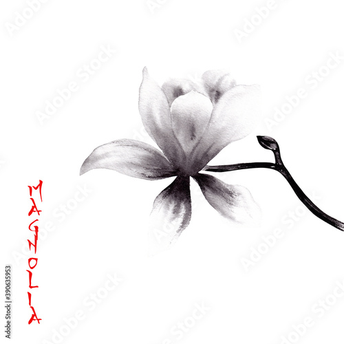 Watercolor sumie painting of magnolia flowers photo