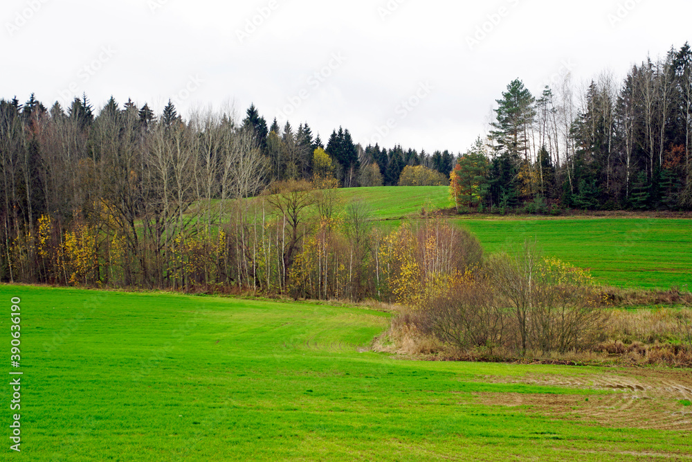 Autumn landscape Early November Beautiful view of meadows and groves Horizon and open spaces. Autumn landscape Early November Beautiful view of meadows and groves Horizon and open spaces.