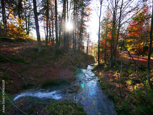 Bad Hindelang, Deutschland: Der Wildbach fließt durch den herbstlichen Alpenwald