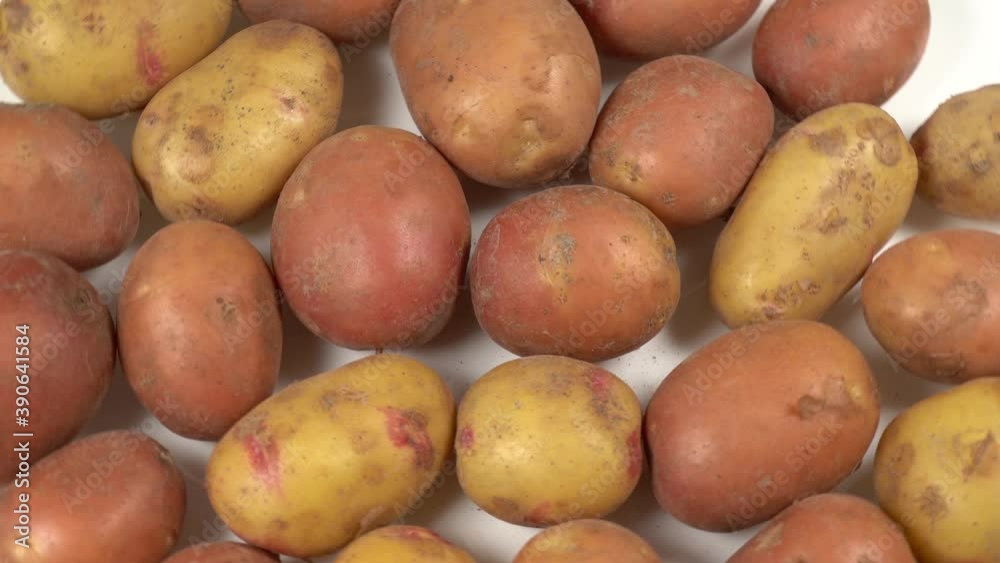 Closeup top view 4k video of fresh young organic potatoes vegetables isolated on white background Closeup top view 4k video of fresh young organic potatoes vegetables isolated on white background