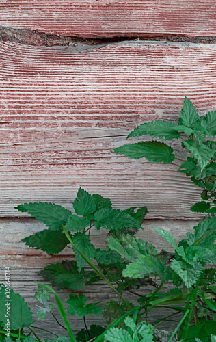 Fotografie Wooden, old background from red boards.