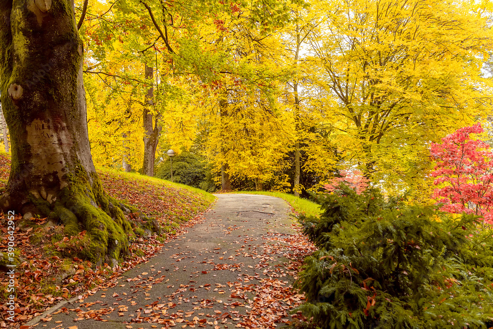 Autumn landscape Baden-Baden. Europe. Germany
