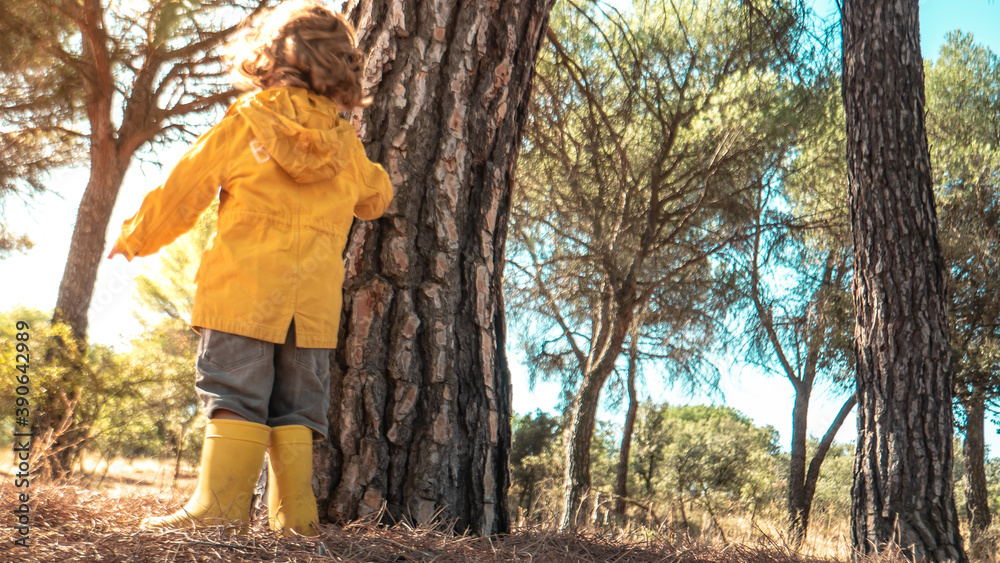 Young child is picking up plastic waste in the forest as a volunteer. Toddler and young children early environmental education concept. Young child is picking up plastic waste in the forest as a volunteer. Toddler and young children early environmental education concept.