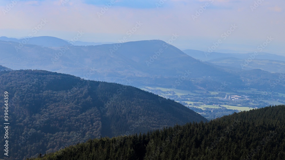 Naklejka premium mountains, nature and flora, forest