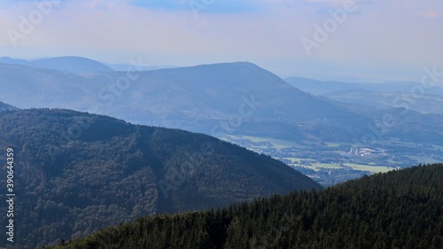 mountains, nature and flora, forest