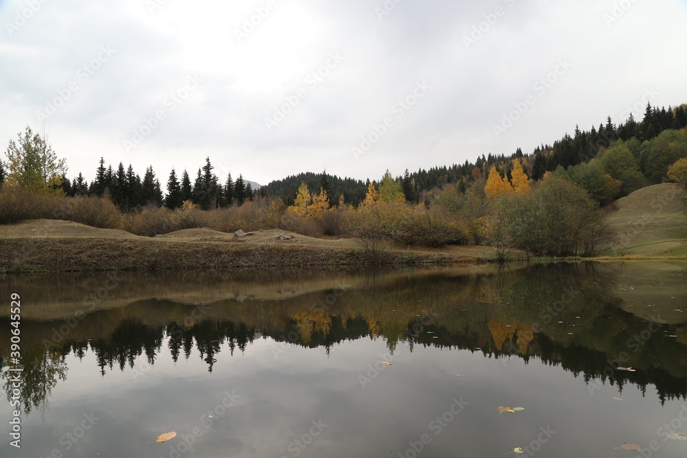 Beautiful colored trees with lake in autumn, landscape photography. Artvin/turkey Beautiful colored trees with lake in autumn, landscape photography. Artvin/turkey