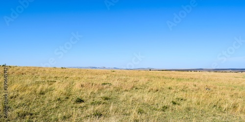 Kenya  landscape of maasai mara park