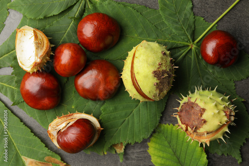 Horse chestnuts and leaves on grey table, flat lay