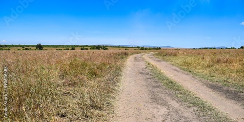 Kenya: landscape of maasai mara park