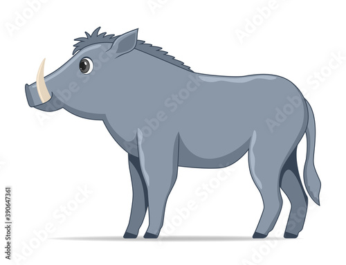 Warthog animal standing on a white background
