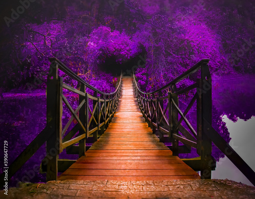 bridge over the river