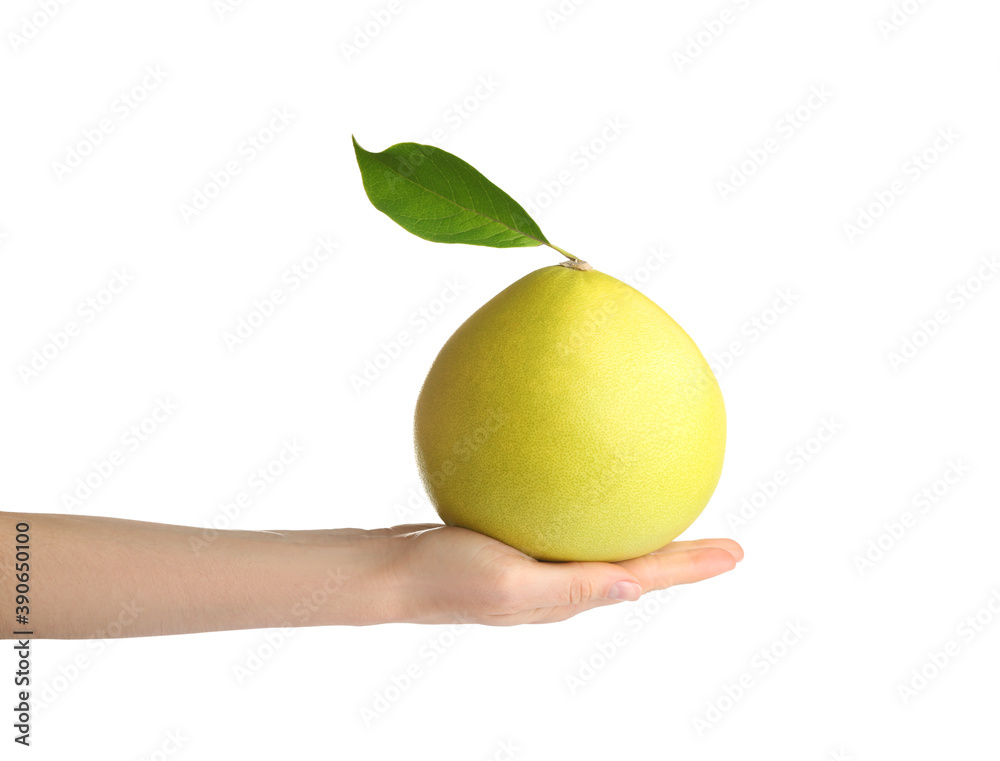 Man holding fresh pomelo fruit with leaf on white background, closeup Man holding fresh pomelo fruit with leaf on white background, closeup