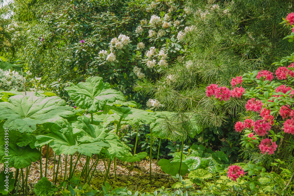 Fototapeta premium Berggarten - Herrenhäuser Gärten - Hannover