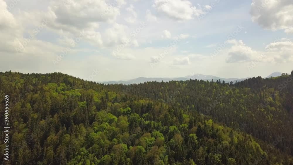 Aerial view of high mountains covered with green spruce forest in cloudy summer weather. Aerial view of high mountains covered with green spruce forest in cloudy summer weather.