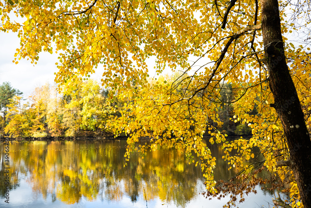 golden autumn, autumn landscape, reservoir in the Upper Palatinate, colorful leaves