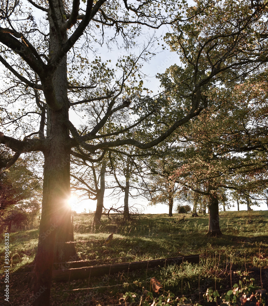 Vibrant Sunset across Irish Landscape