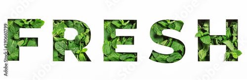 Lettering of English word fresh made of green natural leaves and cut paper isolated on white. Menthol font 