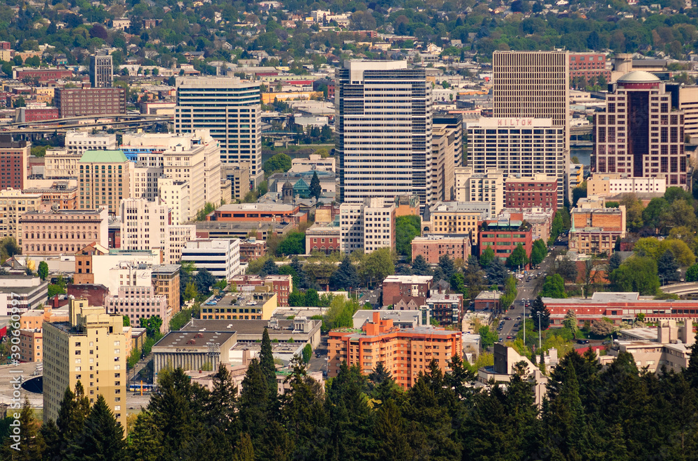 Naklejka premium Portland Skyline