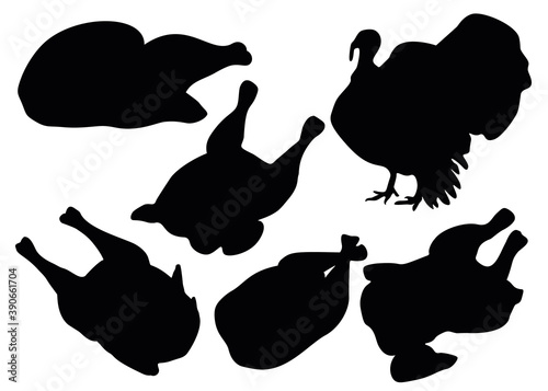 Poultry turkey and carcass set.