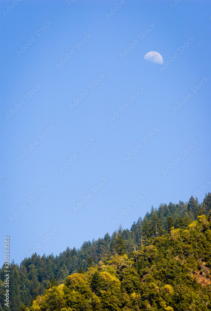 Six Rivers National Forest (Bigfoot Scenic Byway) Stock Photo | Adobe Stock