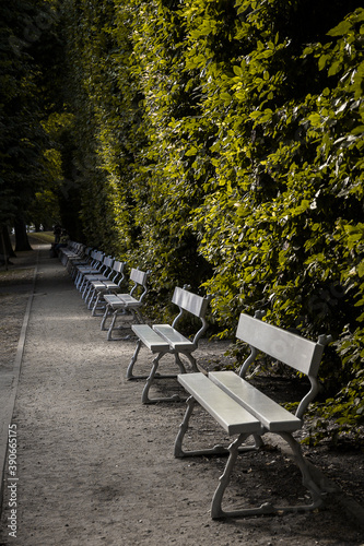 Ławka ławeczka w parku skwerze Kołobrzeg