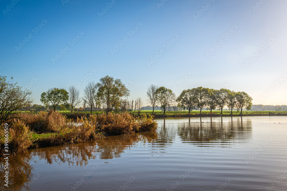 Dutch landscape with a quiet lake, withered reed plants and some water birds early in the morning of a beautiful autumn day. Dutch landscape with a quiet lake, withered reed plants and some water birds early in the morning of a beautiful autumn day.