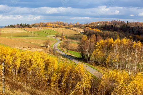 Autumn landscape and a winding road
