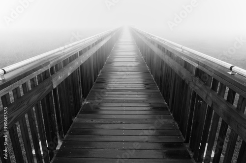 Baylands Nature Preserve Boardwalk in Thick Morning Fog. photo