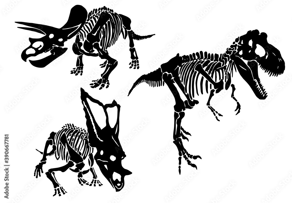 Graphical set of skeletons of dinosaurs isolated on white background ...