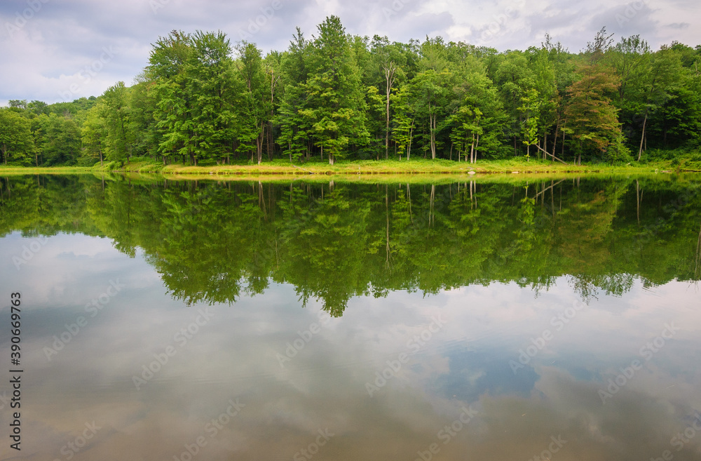 Red House Lake in Allegany State Park Red House Lake in Allegany State Park