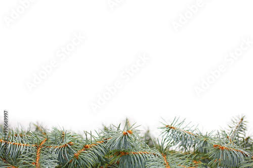 Christmas tree is not a white background. Christmas background with xmas tree. Merry christmas card. Winter holiday theme. Happy New Year. Space for text. Happy Holidays 