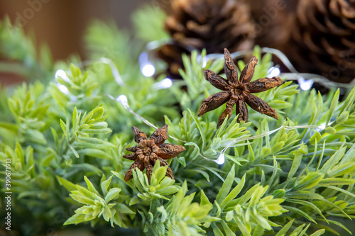 close-up of two anise, green wreath with lights and cones, bright and shiny christmas decoration, raw aniseeds, ingredient, front view