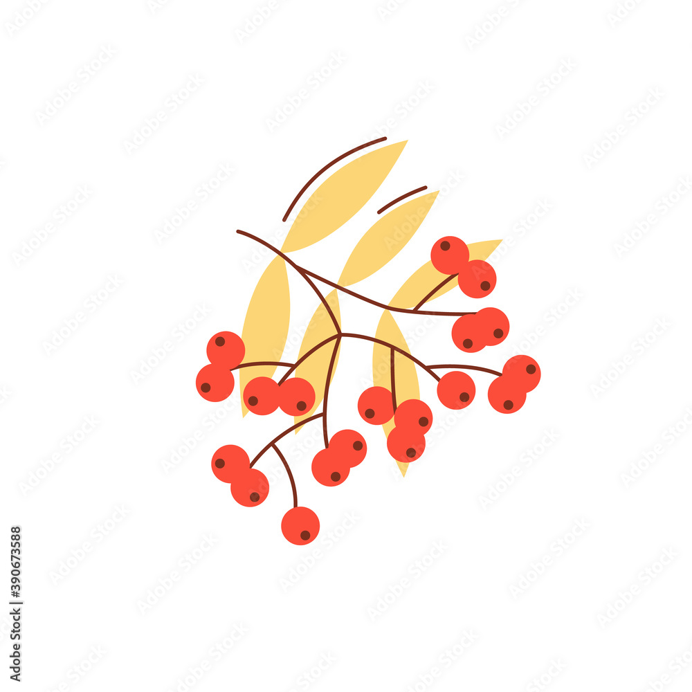 Rowanberry in fall season flat vector abstract element. Nature generosity. Wild ash. Autumn berries RGB color clipart with lineart . Seasonal harvest isolated organic shape on white background Rowanberry in fall season flat vector abstract element. Nature generosity. Wild ash. Autumn berries RGB color clipart with lineart . Seasonal harvest isolated organic shape on white background