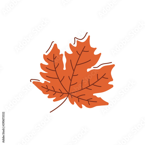 Dried brown leaf flat vector abstract element. Falling leaves. Nature generosity. Autumn season RGB color clipart with lineart . Maple tree. Fall foliage isolated organic shape on white background