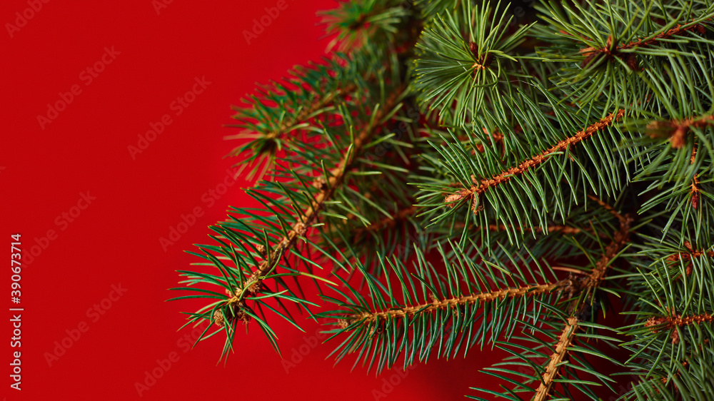 Obraz premium Merry Christmas. Christmas background with Christmas tree on a red background. Merry Christmas card. Winter holiday theme. Happy New Year. Place for your text.