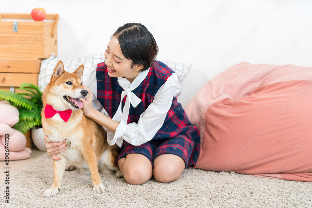 A girl playing with a Shiba Inu in a living room. A girl playing with a Shiba Inu in a living room.