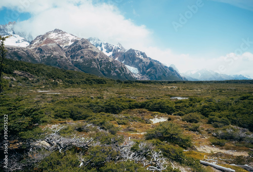Fototapeta Naklejka Na Ścianę i Meble -  Forests and mountains of Patagonia in South America