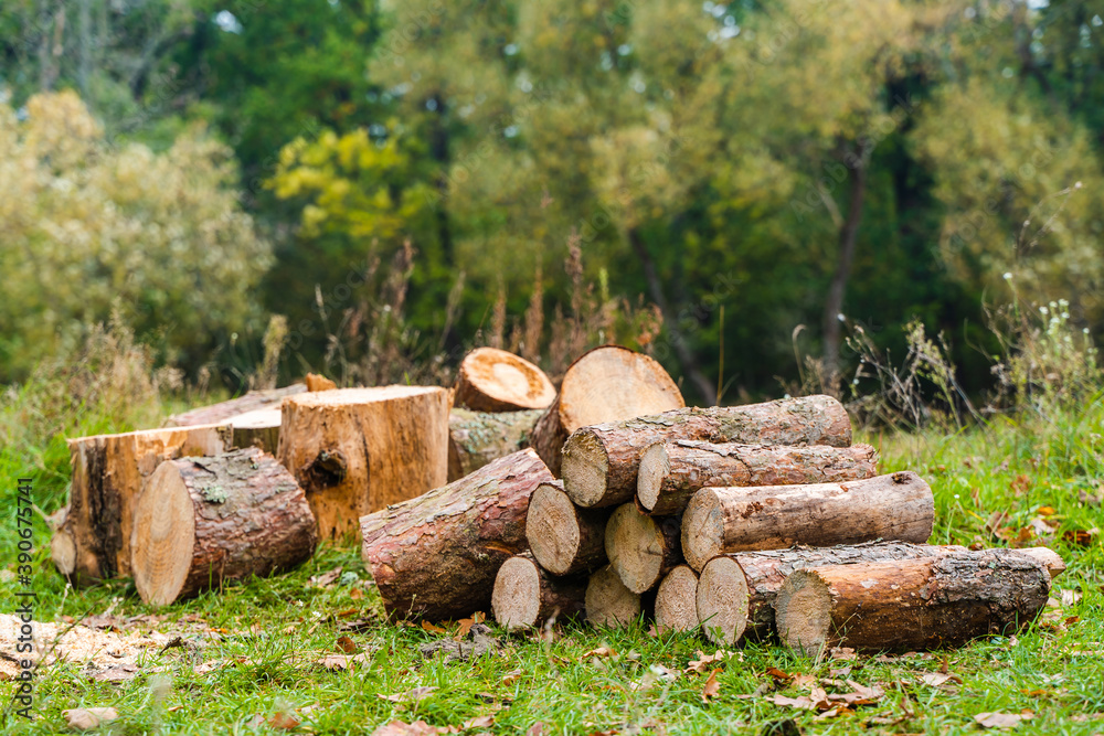 Pile of Firewood Lying on the Ground. Pile of Firewood Lying on the Ground.