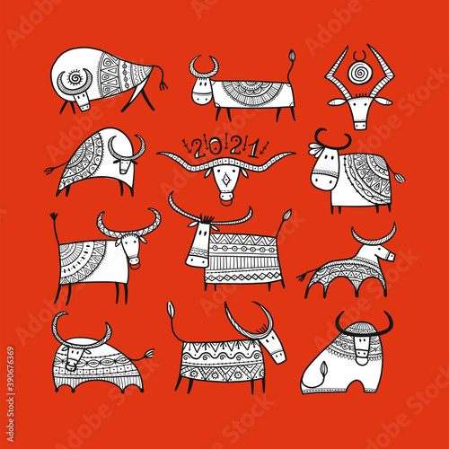 Funny sketch bull collection. Lunar horoscope sign. Happy new year 2021. Bull...