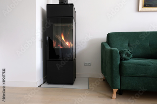 Foto Modern scandinavian living room with green sofa and a modern freestanding contemporary fireplace