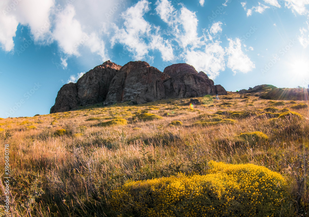 Fototapeta premium landscape with sky