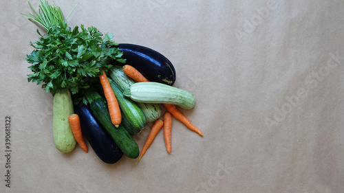 Parsley, eggplant, zucchini and carrot on the empty background