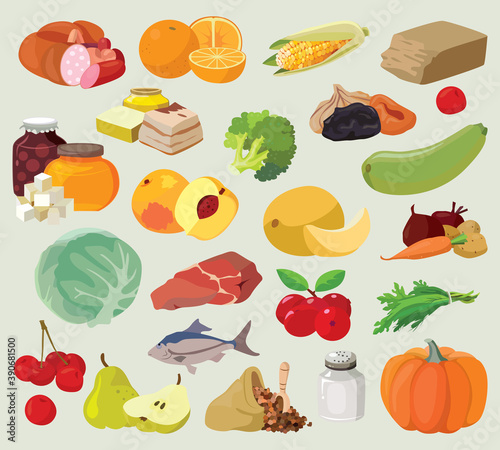 Fruits, vegetables, fats, meat, cereals, dairy products