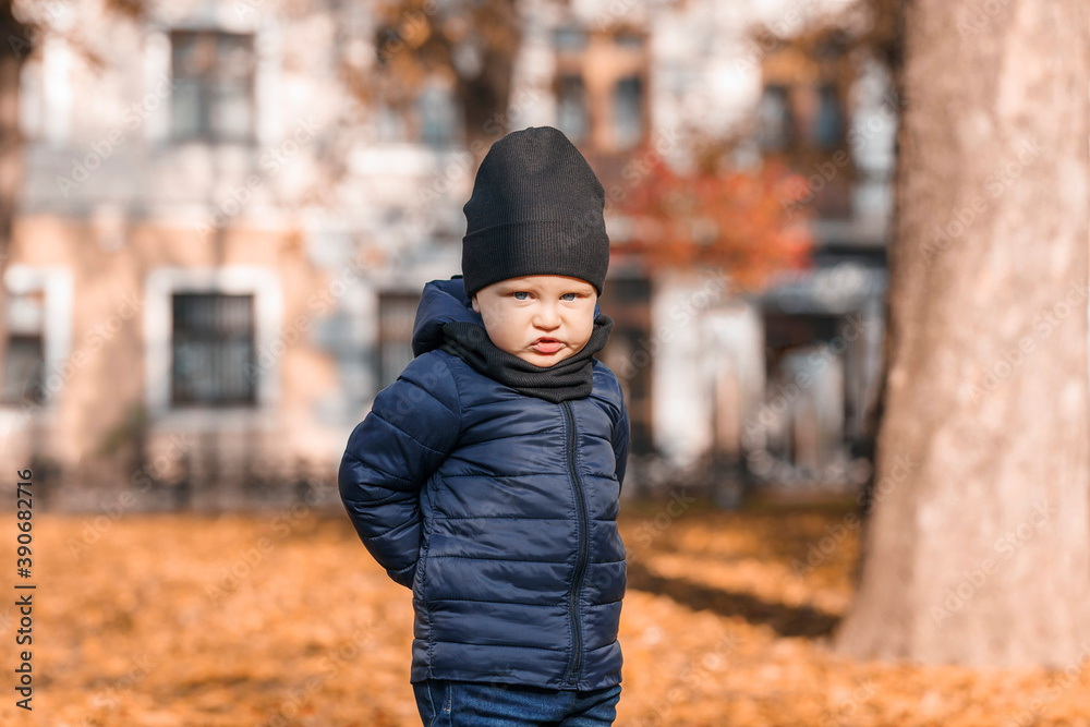 A little boy in a jacket and hat stands with his hands behind his back and looks at the camera. Child in the autumn park on a background of fallen leaves on a sunny day A little boy in a jacket and hat stands with his hands behind his back and looks at the camera. Child in the autumn park on a background of fallen leaves on a sunny day